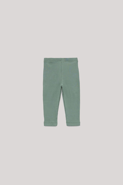 Baby Boy Green Tights - BgStore