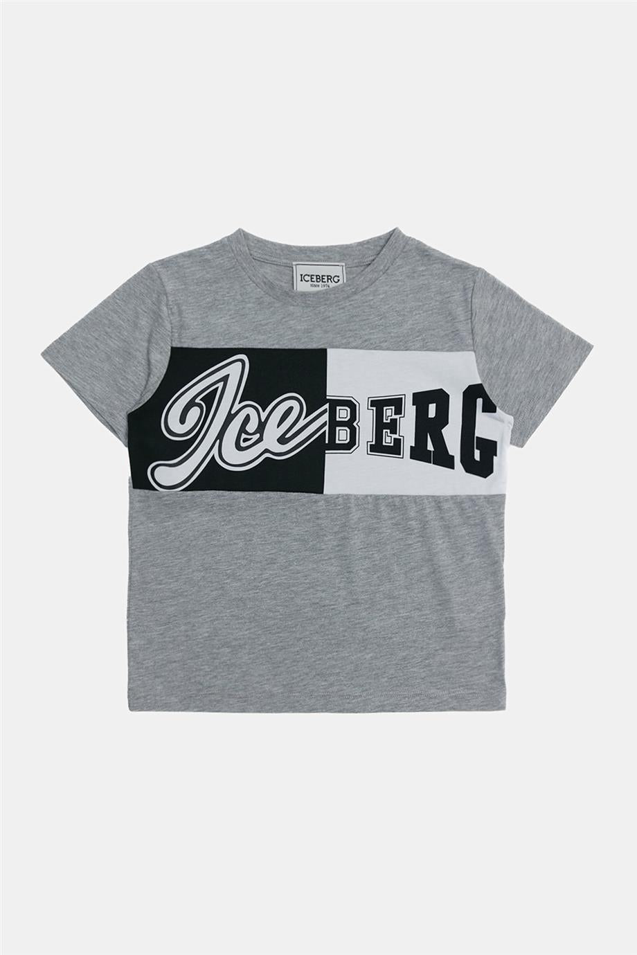 Boy Grey T-Shirt - BgStore