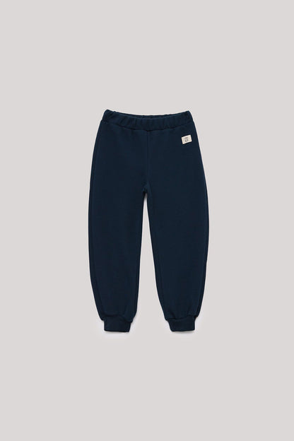 Boy Navy Blue Tracksuit Bottom - BgStore