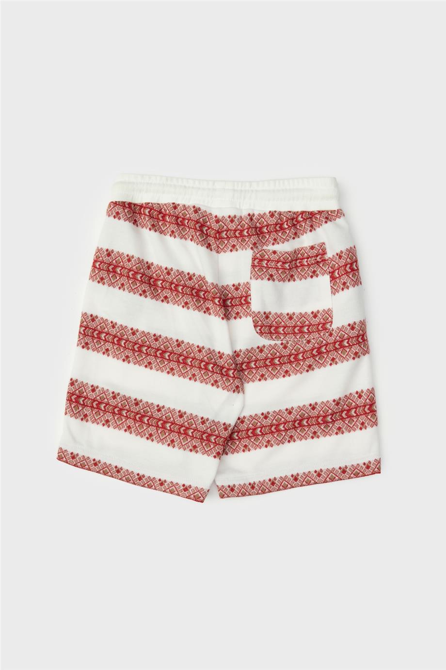 Boy Patterned Shorts - BgStore