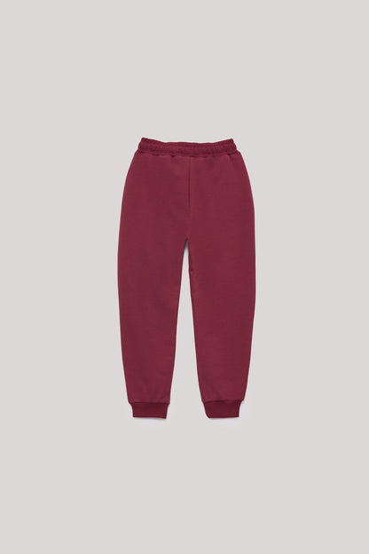 Boy Red Tracksuit Bottom - BgStore